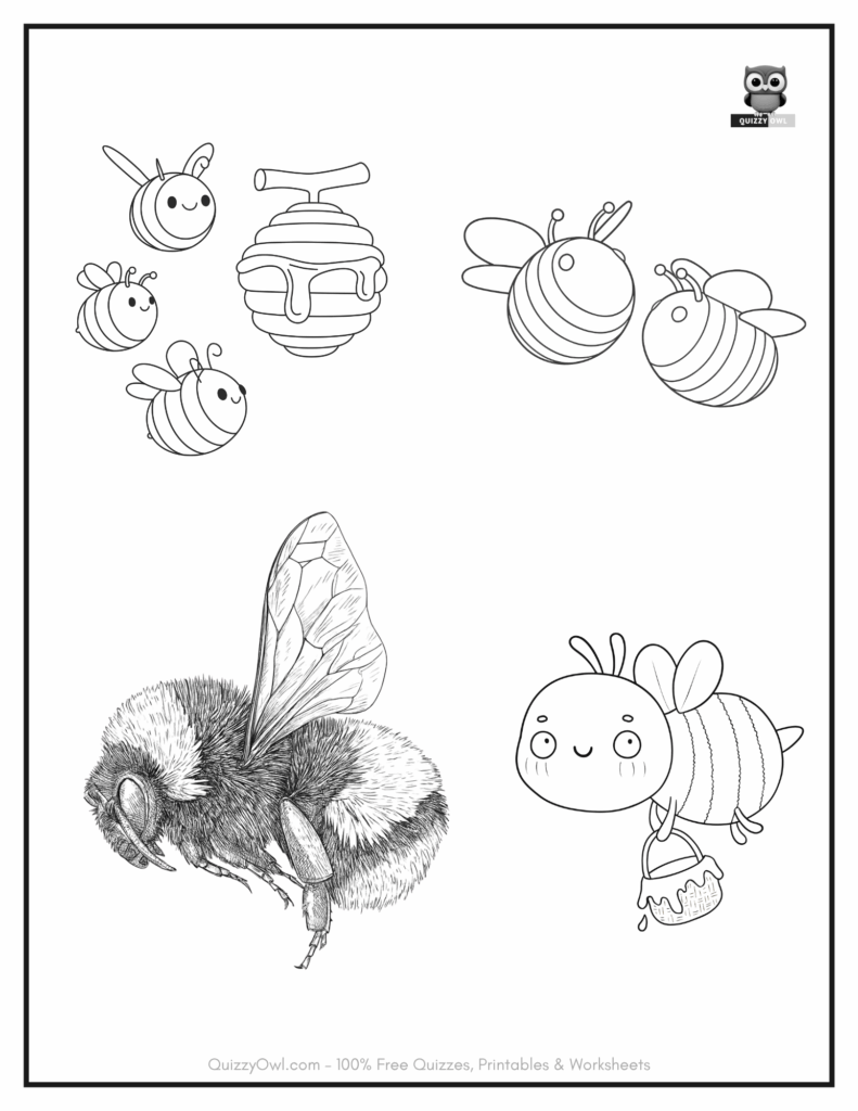 Bee coloring page with four unique bee illustrations, each in a different pose