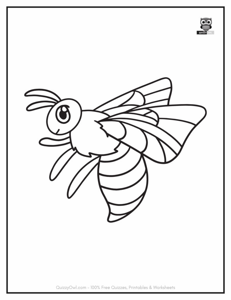 Black and white sketch of a flying bee for coloring