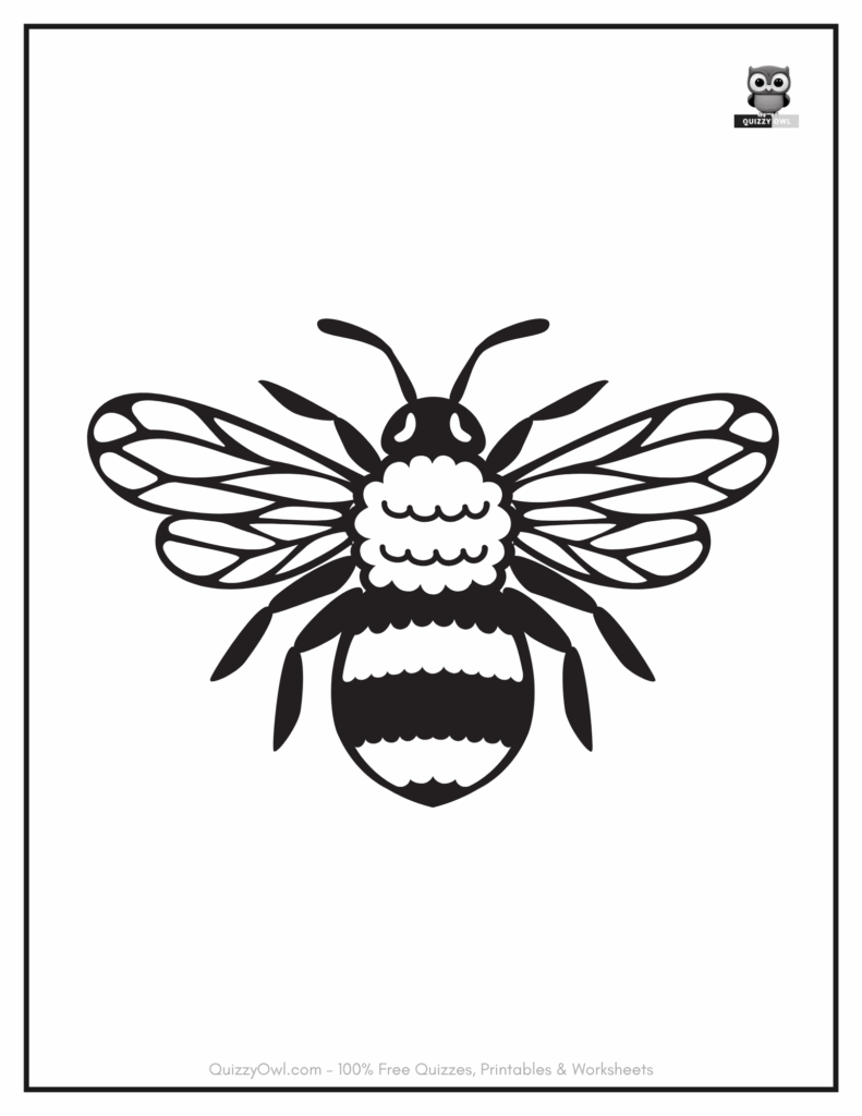 Cartoon-style bee coloring page with a natural bee shape and realistic body parts