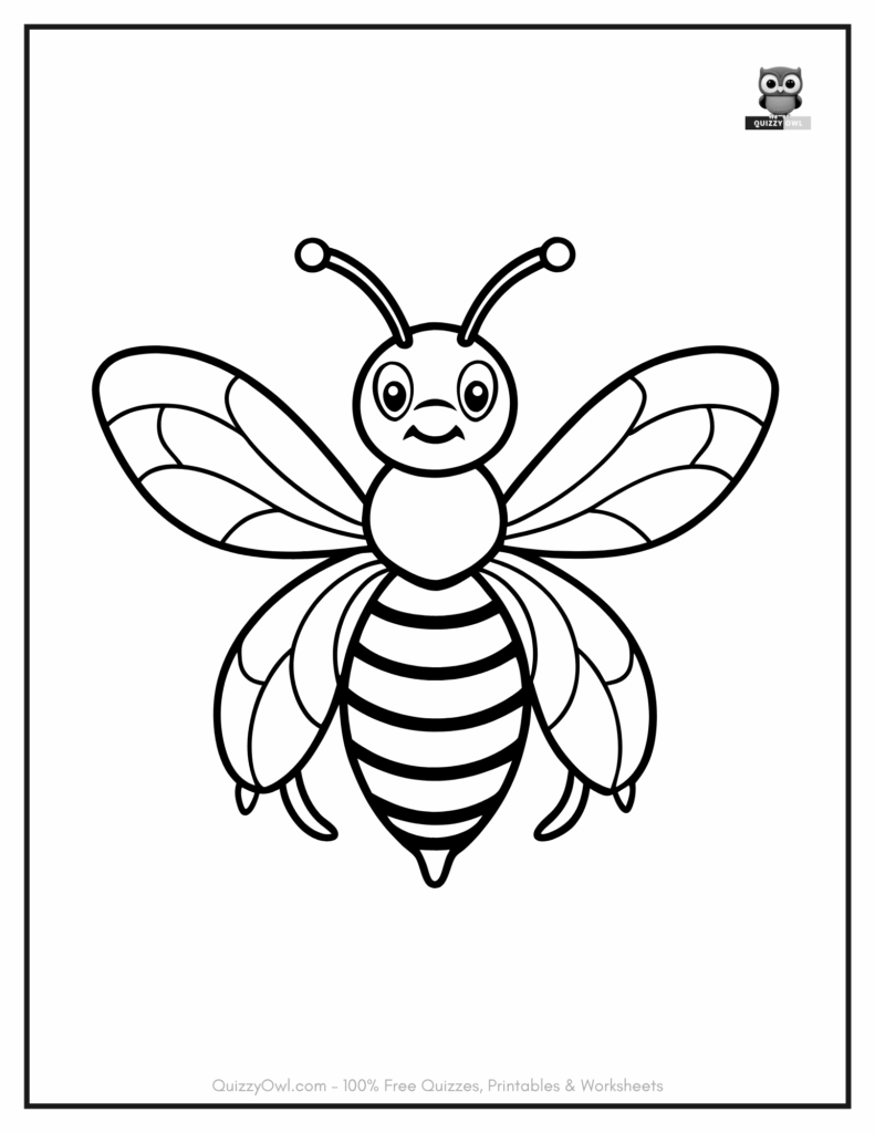 Bee coloring page with full wings stretched in flight