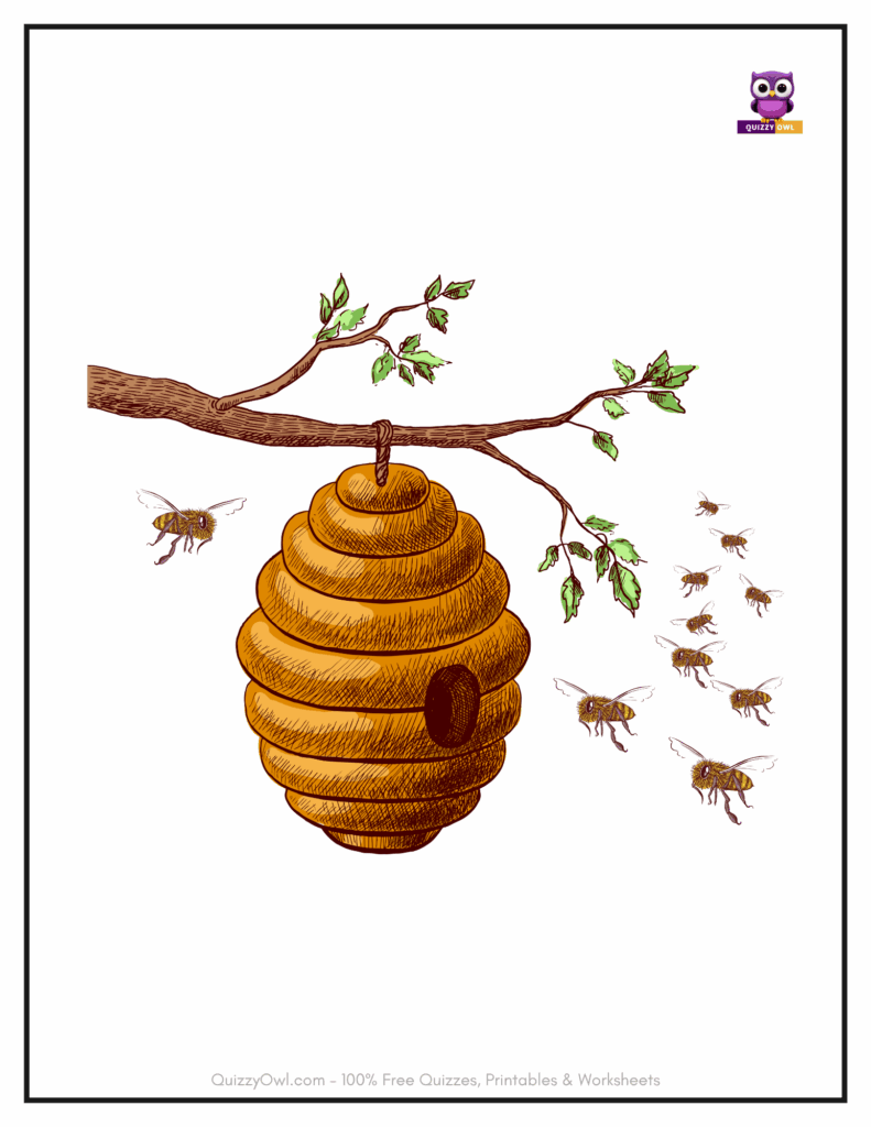 Colored honeycomb with brown bees wandering around for coloring inspiration