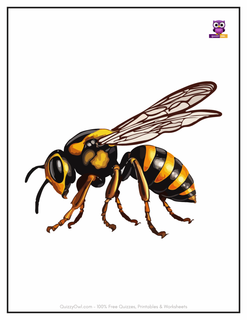 Realistic animated bee colored for kids’ coloring inspiration