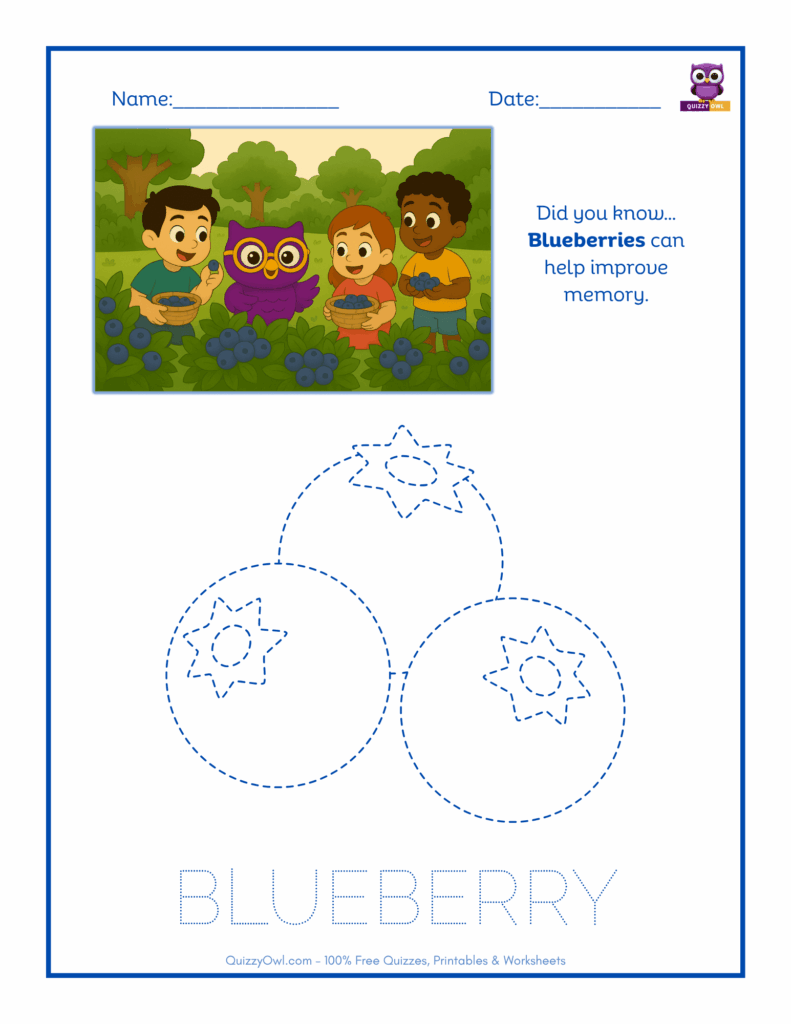 Blueberry tracing worksheet for kids