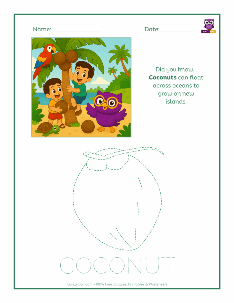 Coconut tracing worksheet for kids