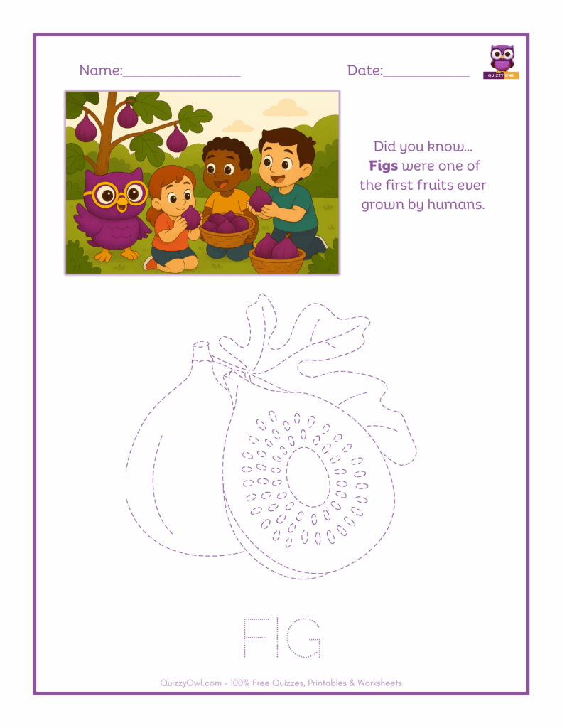 Fig tracing worksheet for kids