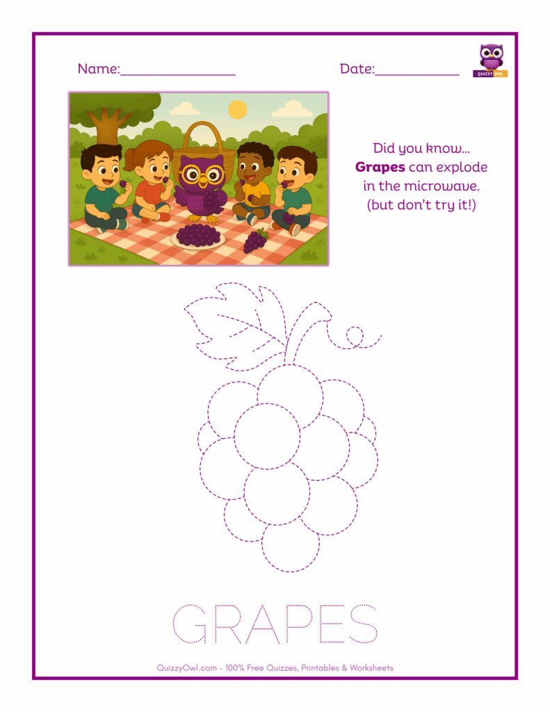 Grapes tracing worksheet for kids