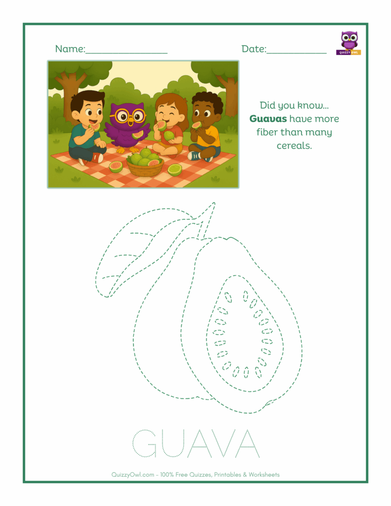 Guava tracing worksheet for kids