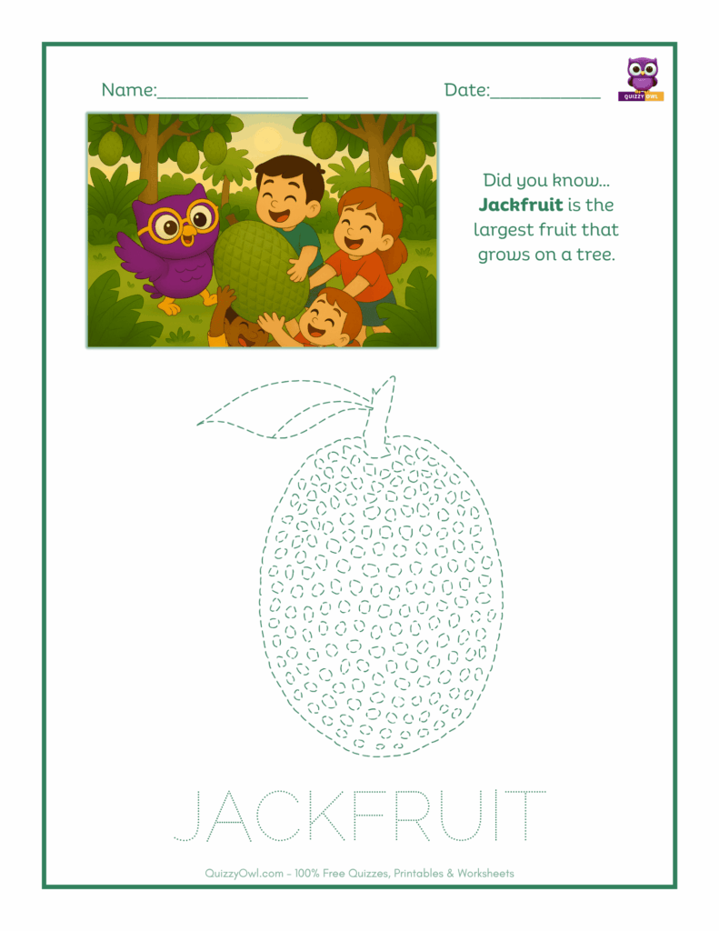 Jackfruit tracing worksheet for kids