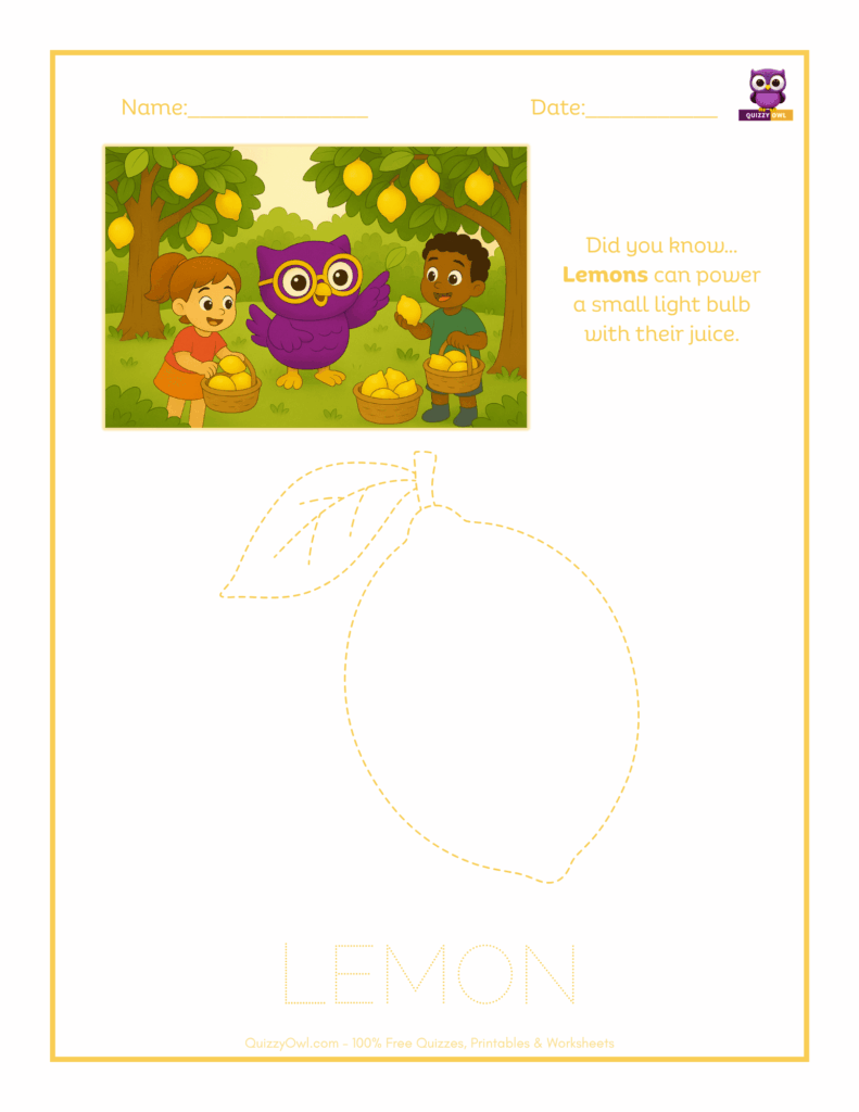 Lemon tracing worksheet for kids