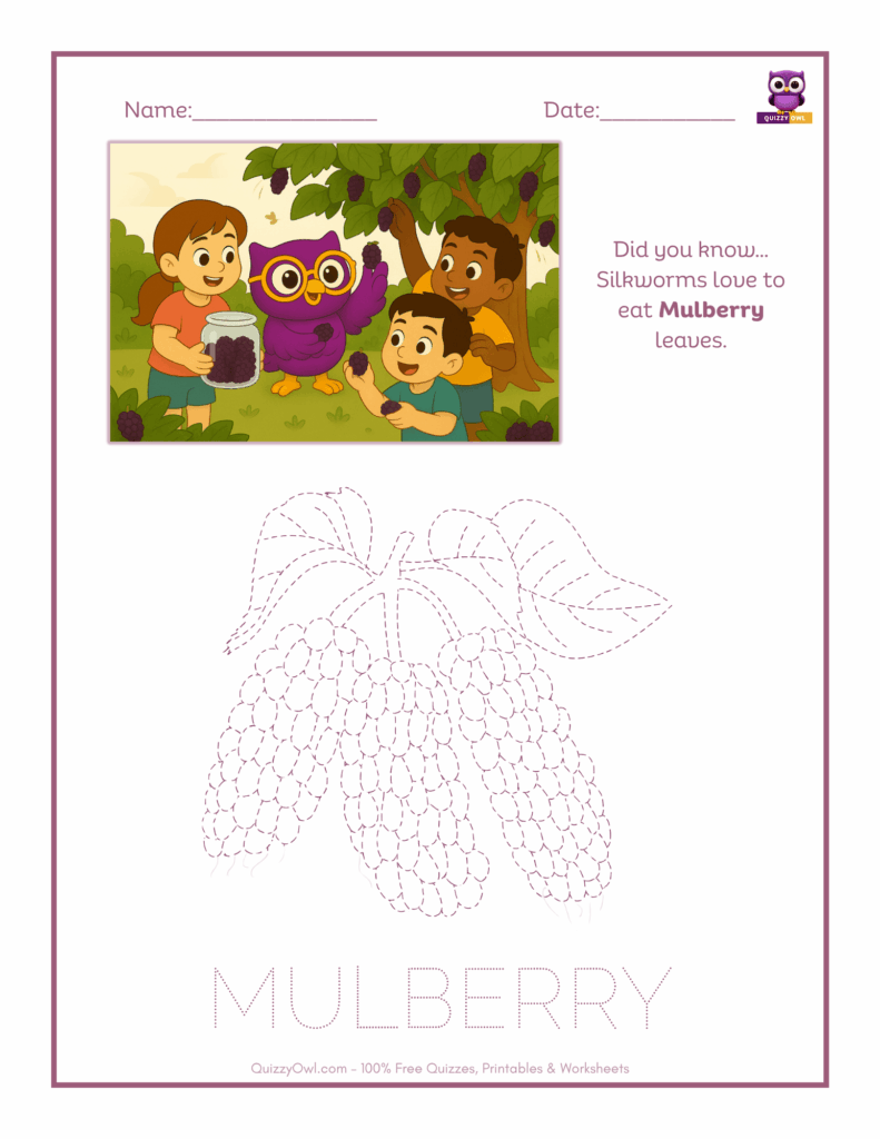 Mulberry tracing worksheet for kids
