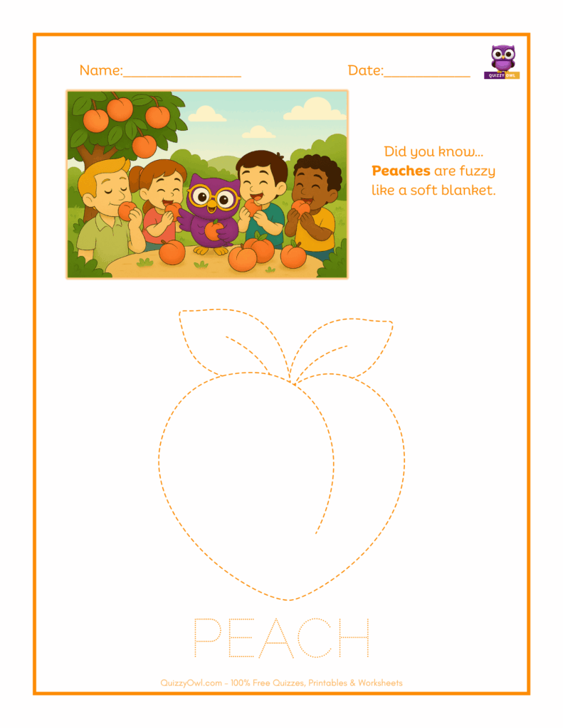 Peach tracing worksheet for kids