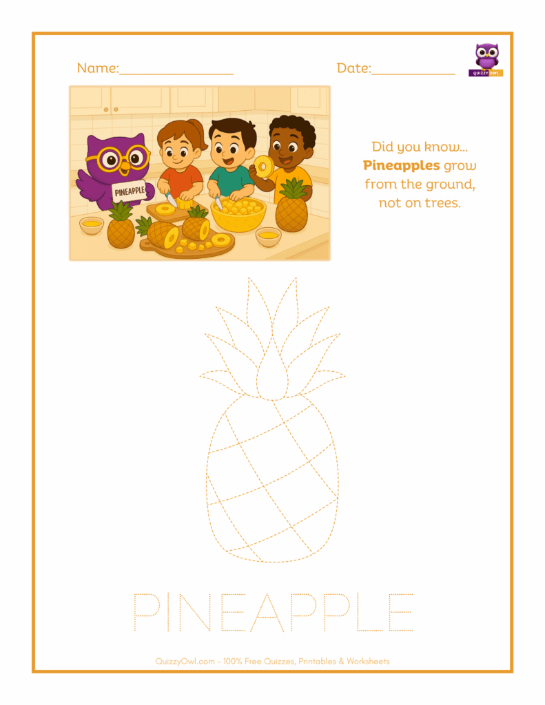 Pineapple tracing worksheet for kids