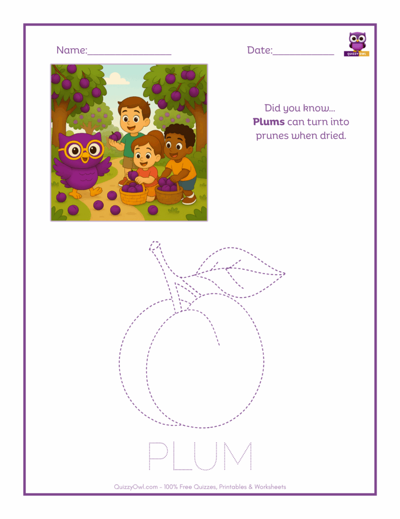 Plum tracing worksheet for kids