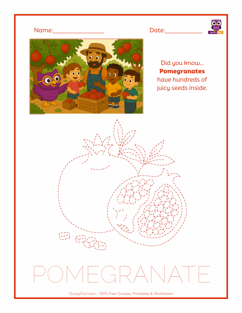 Pomegranate tracing worksheet for kids