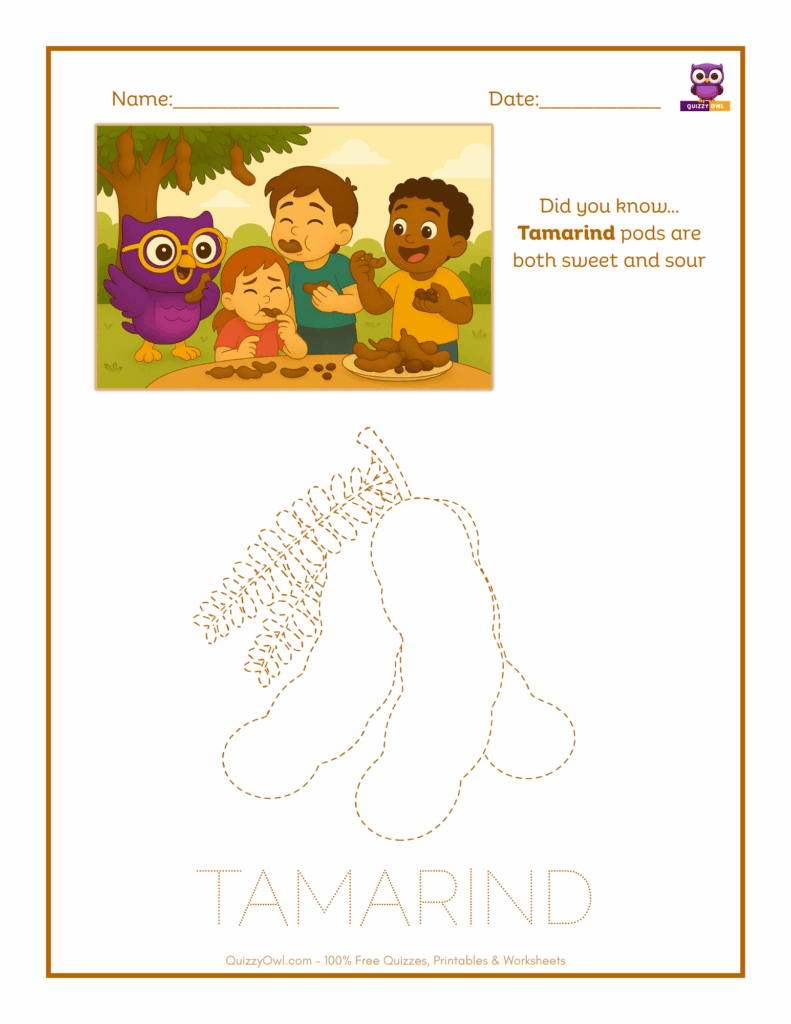 Tamarind tracing worksheet for kids