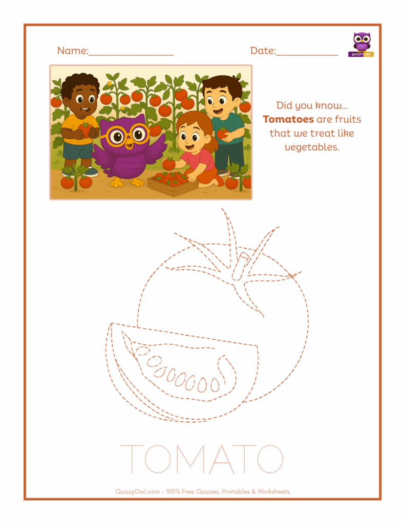 Tomato tracing worksheet for kids