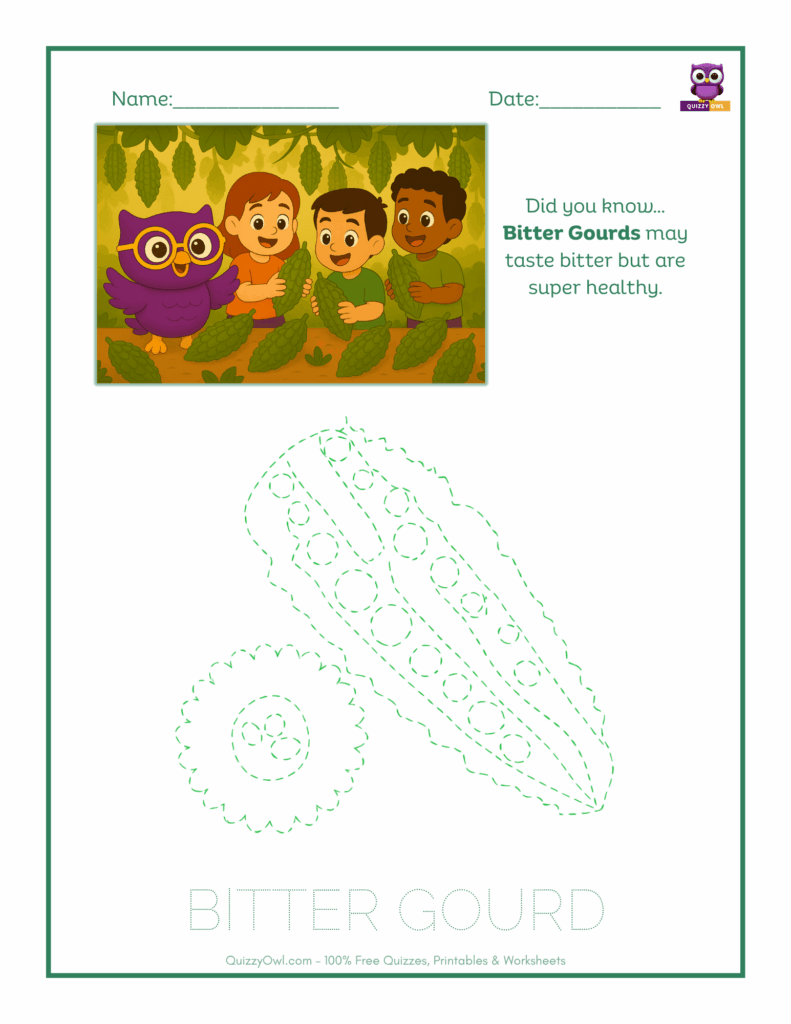 Bitter Gourd tracing worksheet for kids