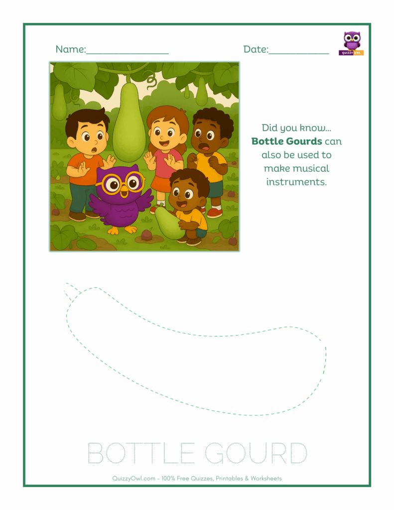 Bottle Gourd tracing worksheet for kids