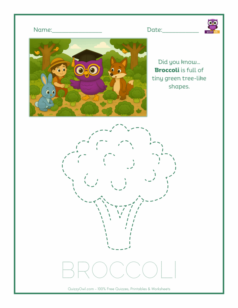 Broccoli tracing worksheet for kids
