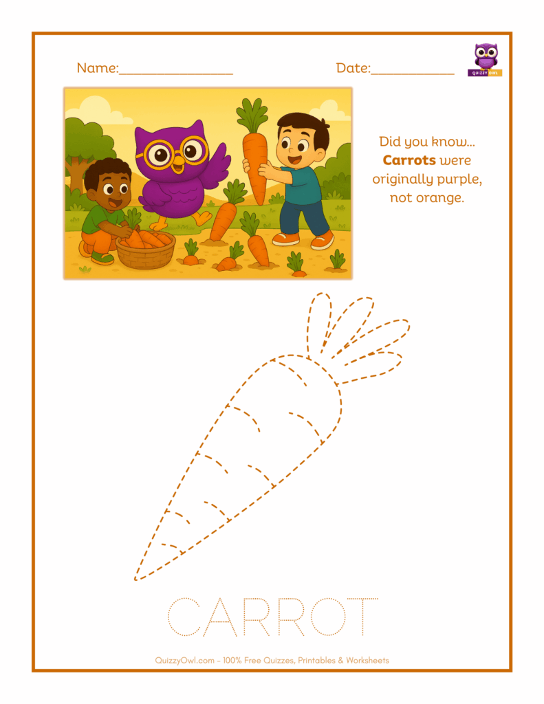 Carrot tracing worksheet for kids