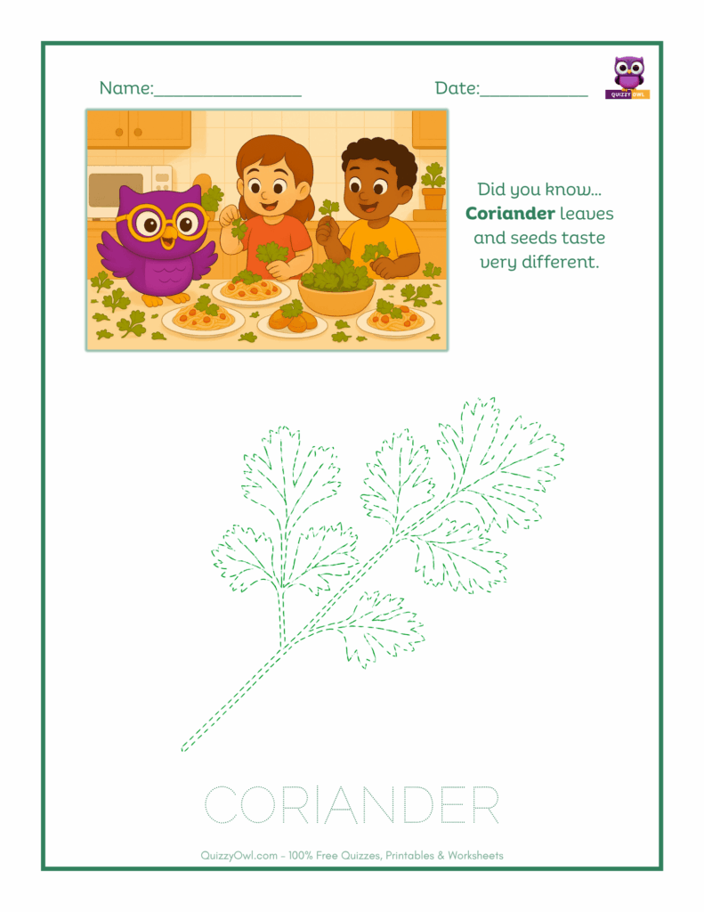 Coriander tracing worksheet for kids