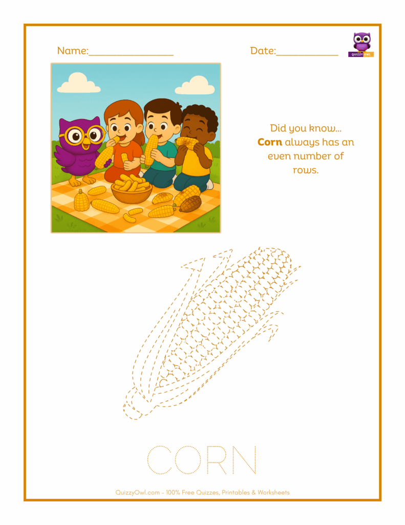 Corn tracing worksheet for kids