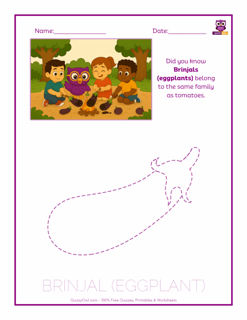 Eggplant Brinjal tracing worksheet for kids