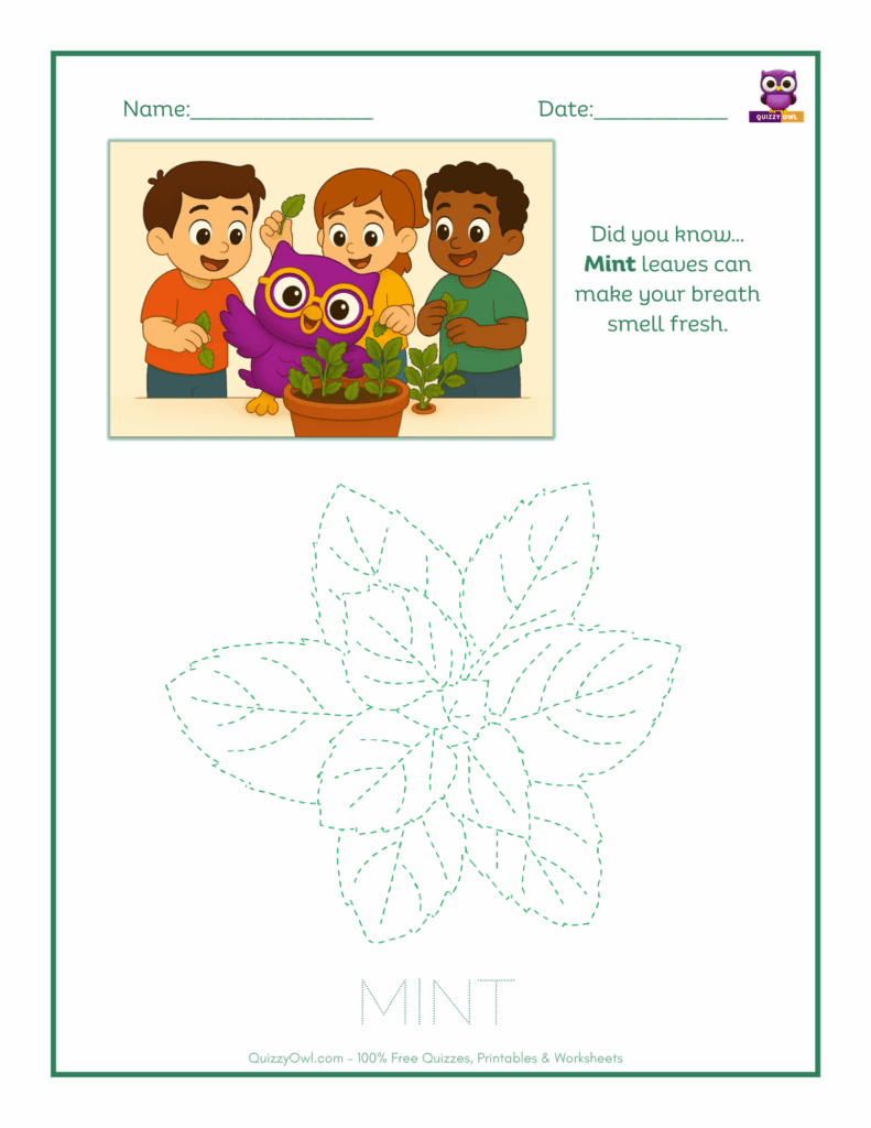 Mint tracing worksheet for kids