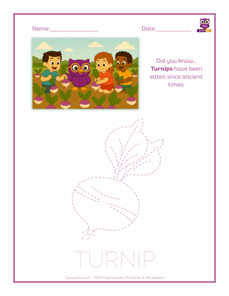 Turnip tracing worksheet for kids
