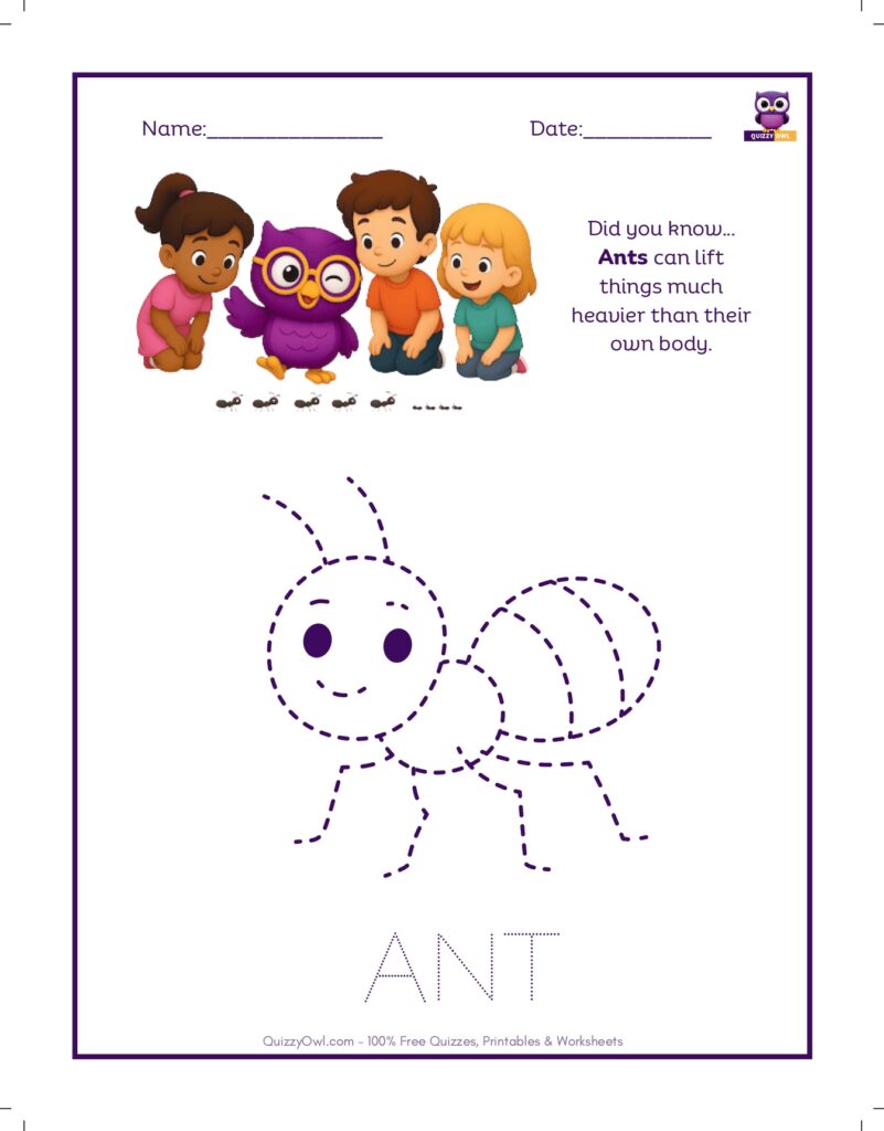 Ant tracing worksheet for kids