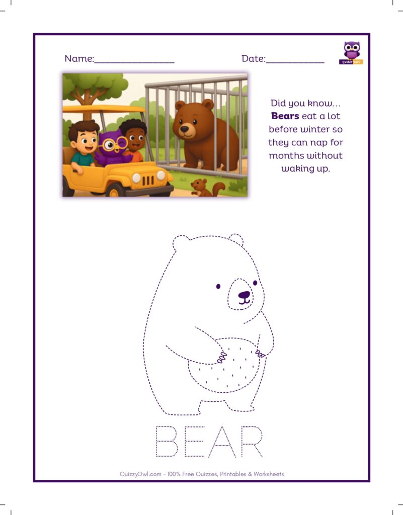 Bear tracing worksheet for kids