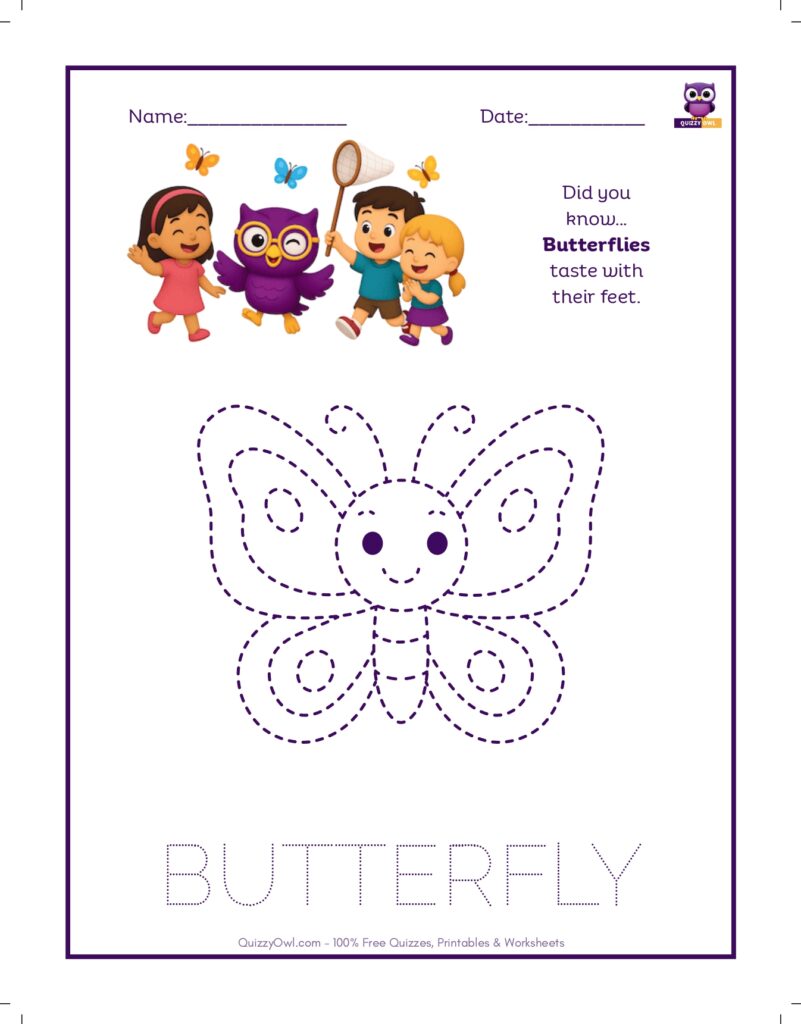 Butterfly tracing worksheet for kids