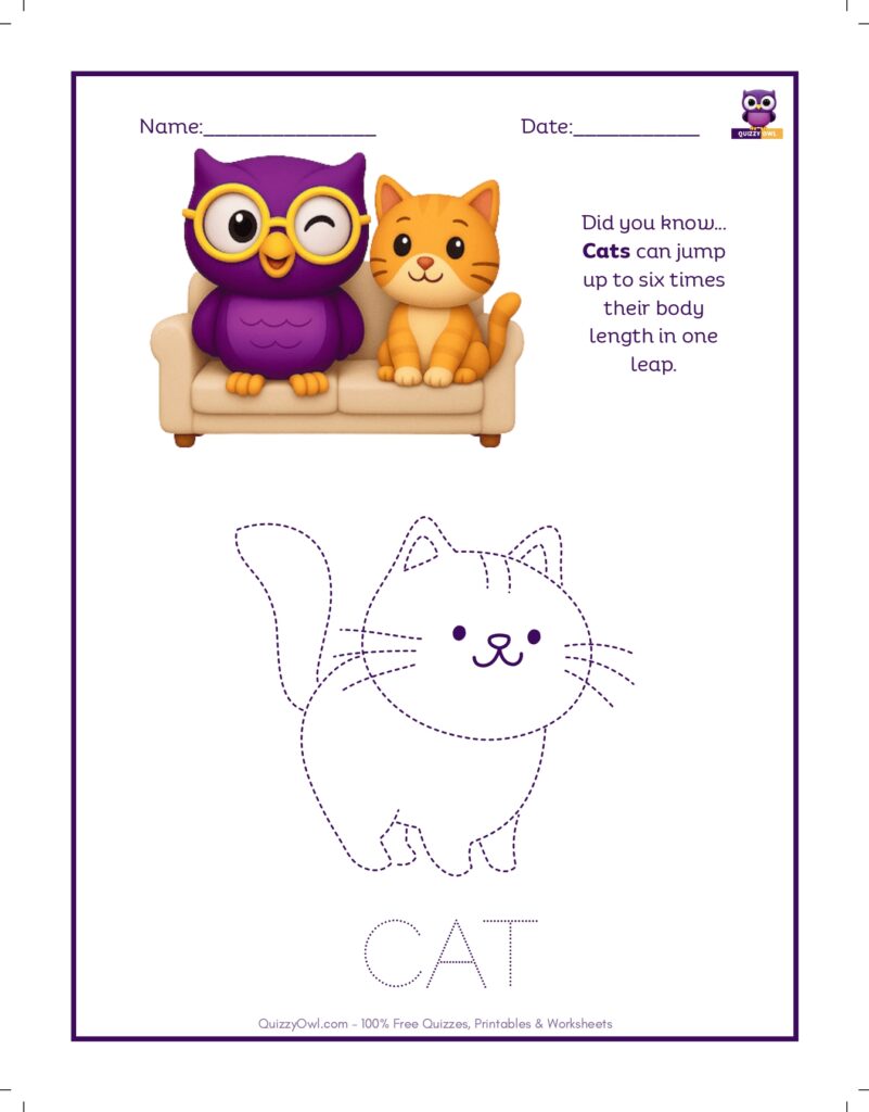 Cat tracing worksheet for kids