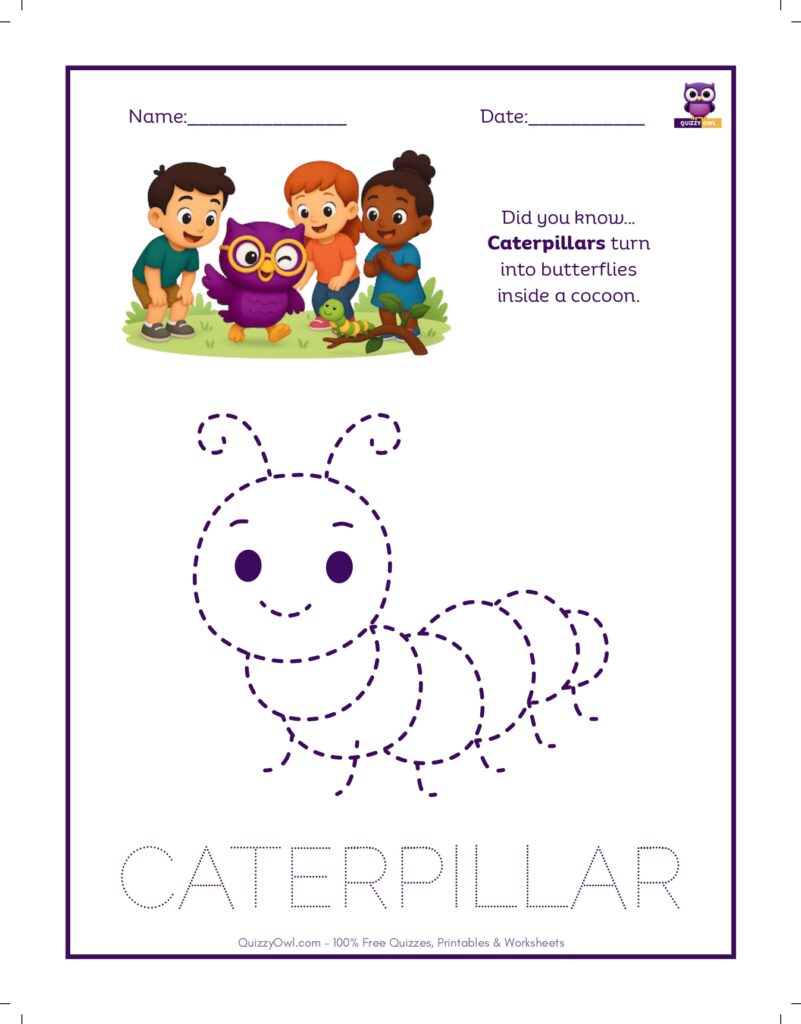 Caterpillar tracing worksheet for kids