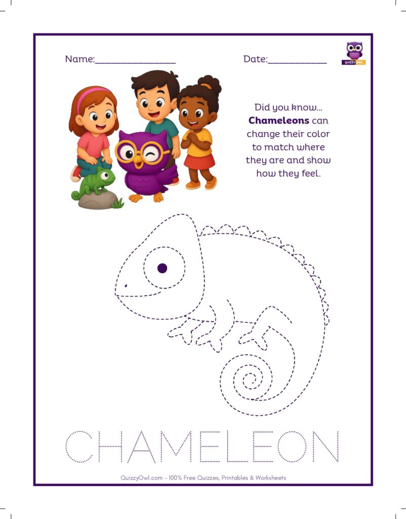Chameleon tracing worksheet for kids