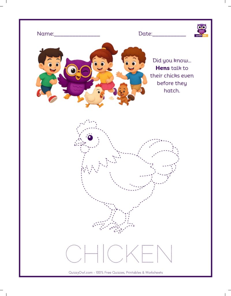 Chicken tracing worksheet for kids