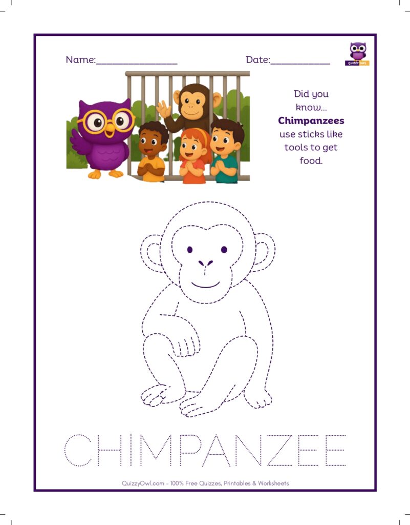 Chimpanzee tracing worksheet for kids