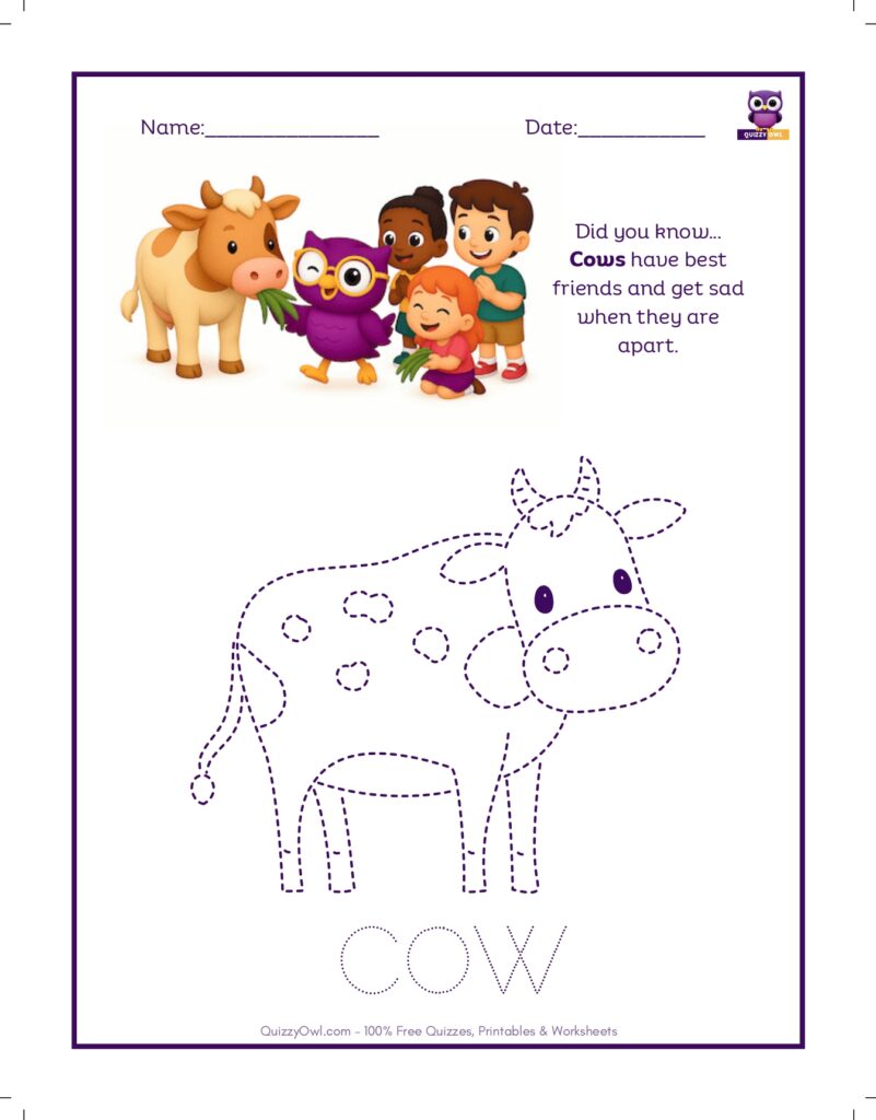 Cow tracing worksheet for kids