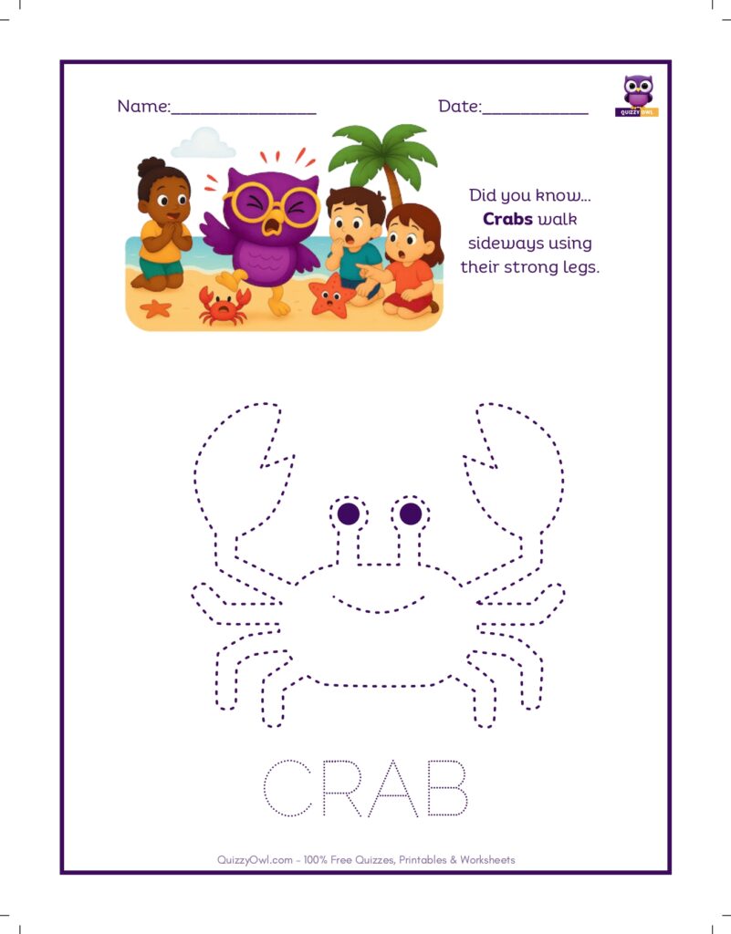 Crab tracing worksheet for kids