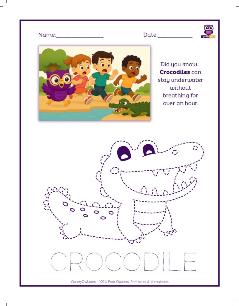 Crocodile tracing worksheet for kids