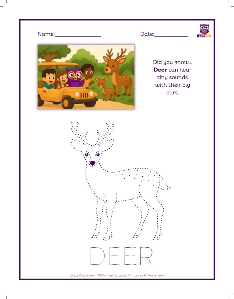 Deer tracing worksheet for kids