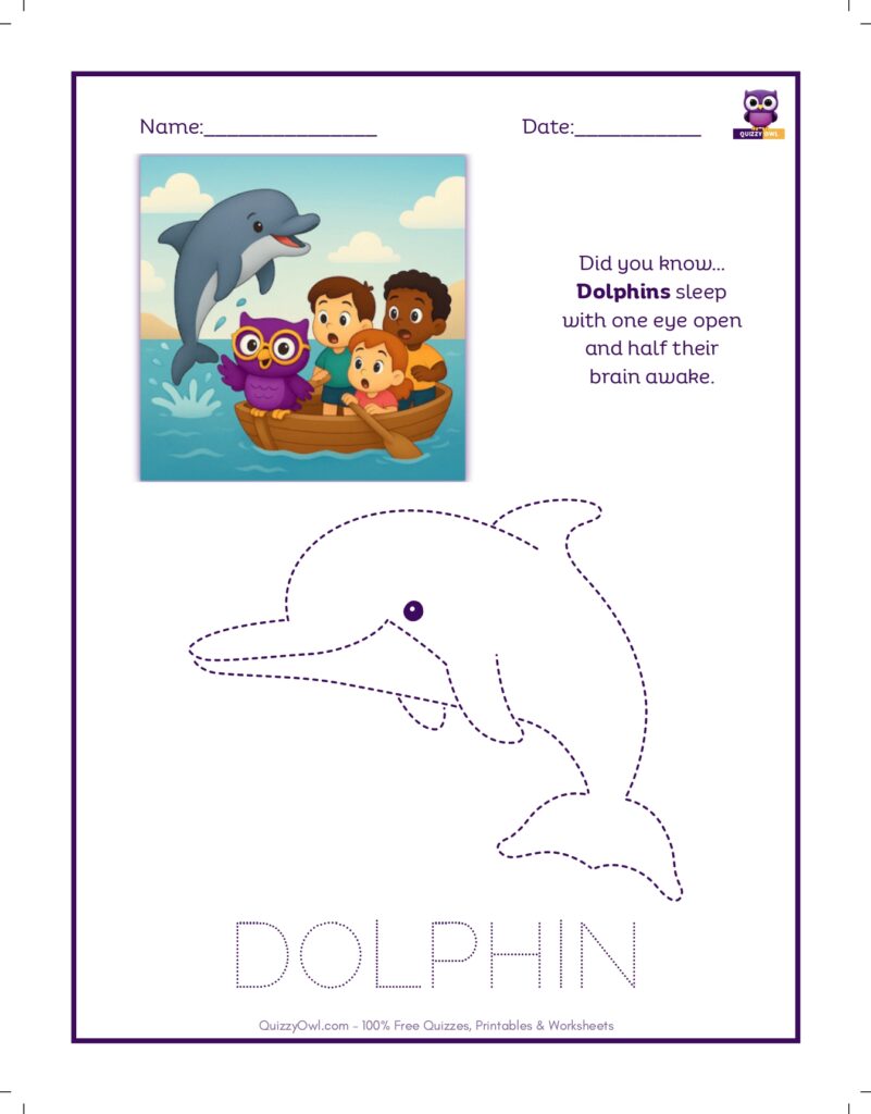 Dolphin tracing worksheet for kids