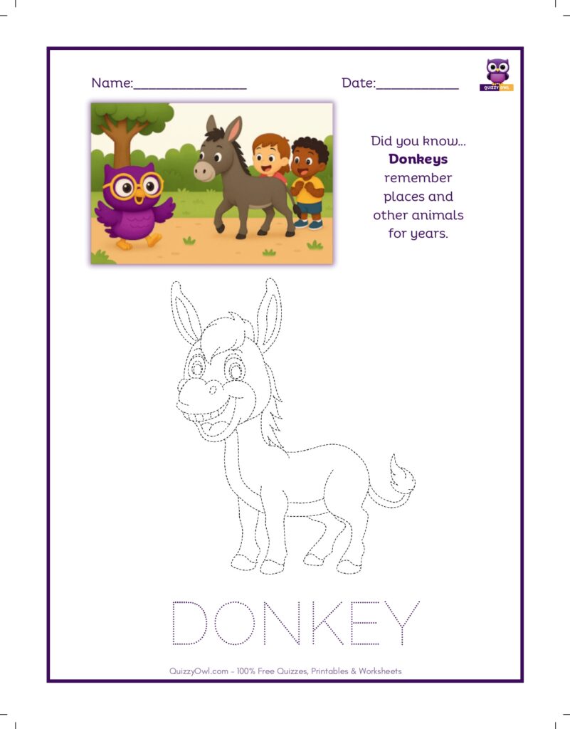Donkey tracing worksheet for kids