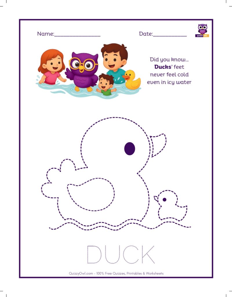 Duck tracing worksheet for kids