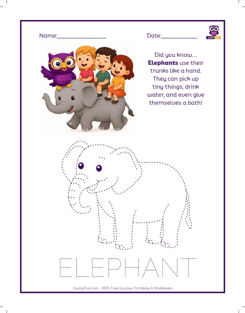 Elephant tracing worksheet for kids