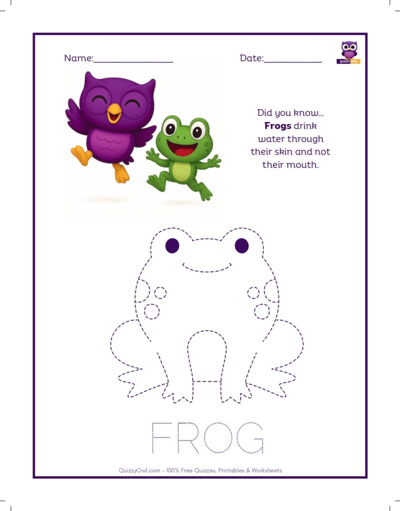 Frog tracing worksheet for kids