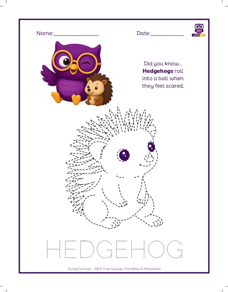 Hedgehog tracing worksheet for kids