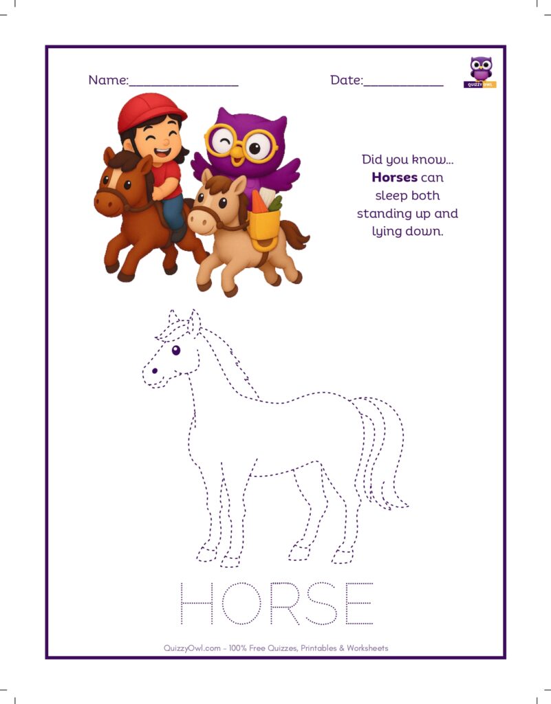 Horse tracing worksheet for kids