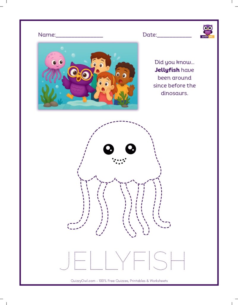 Jellyfish tracing worksheet for kids