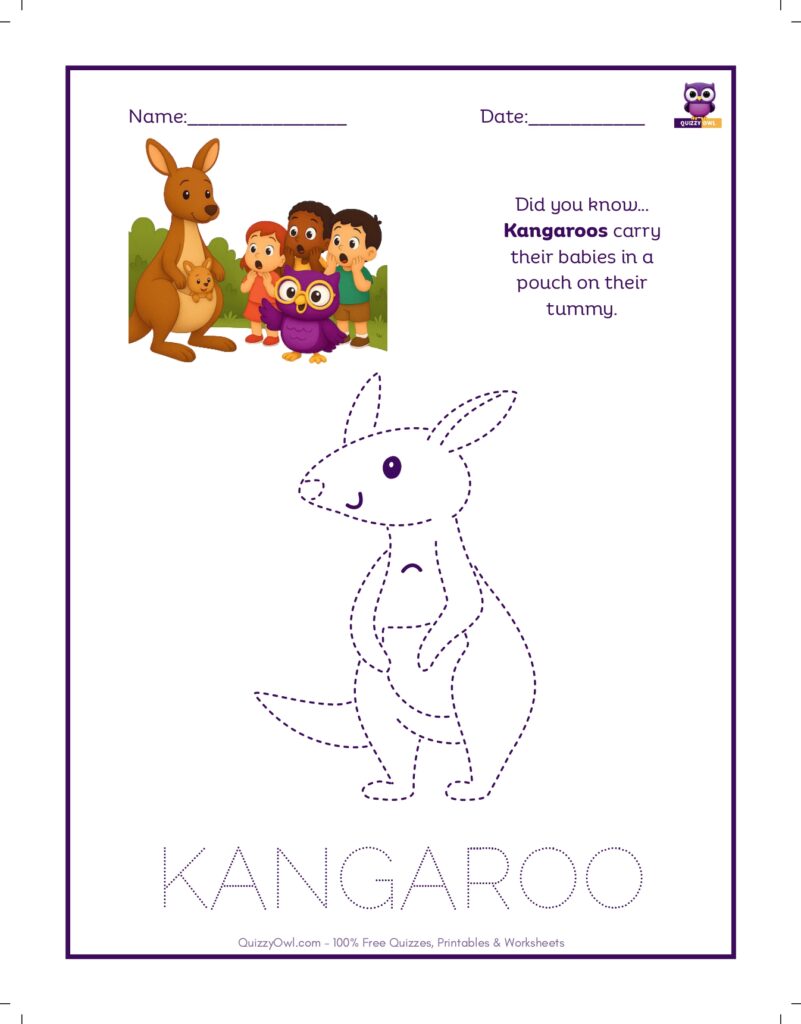 Kangaroo tracing worksheet for kids